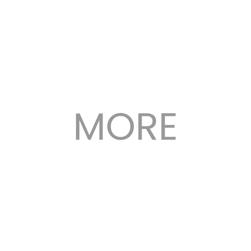 audit